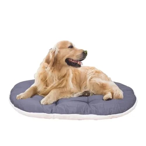 Ferplast Dog Bed Large Dog Cushion Washable Pet Mattress 100 x 63 cm | Soft Cotton Padding thumbnail 1