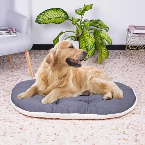 Ferplast Dog Bed Large Dog Cushion Washable Pet Mattress 100 x 63 cm | Soft Cotton Padding thumbnail 3