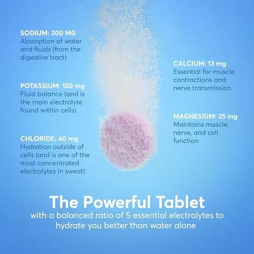 Nuun Sport Electrolyte Tablets Citrus Fruit 80 Count (10 Tablets Per Tube) | Hydration Support for Active Lifestyles thumbnail 3