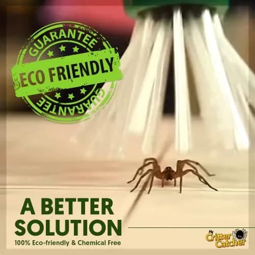 My Critter Catcher Spider and Insect Catcher | Safe, Reusable, Easy to Use for All Ages thumbnail 2