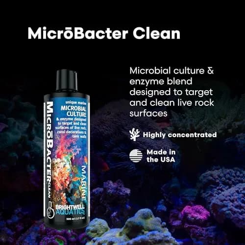Brightwell Aquatics MicroBacter Clean Marine Aquarium Cleaner Aid, 500 ml | Natural bacterial solution for healthy aquariums thumbnail 2
