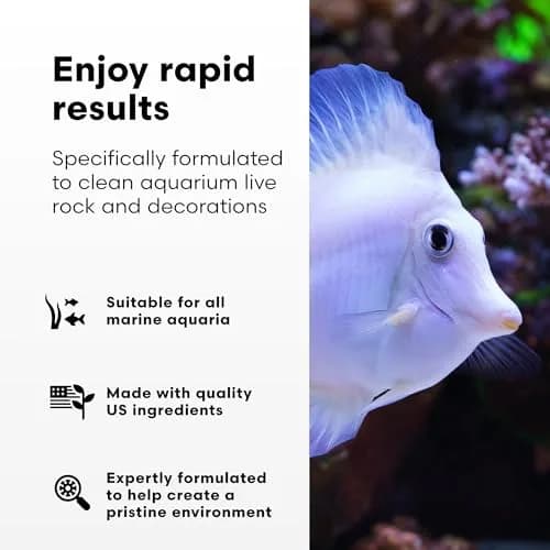 Brightwell Aquatics MicroBacter Clean Marine Aquarium Cleaner Aid, 250 ml | Natural bacterial solution for healthy aquariums thumbnail 2