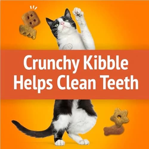 Friskies Party Mix Original Crunch Cat Treats 20 oz (567 g) | Real Chicken, Liver & Turkey Flavors thumbnail 4