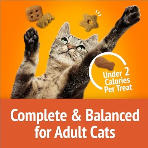 Friskies Party Mix Original Crunch Cat Treats 20 oz (567 g) | Real Chicken, Liver & Turkey Flavors thumbnail 7