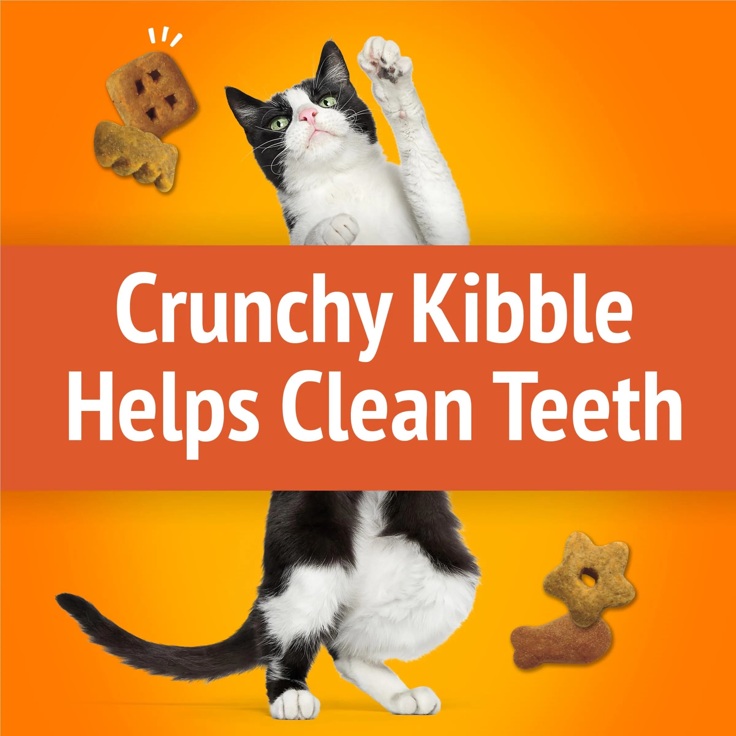 Friskies Party Mix Original Crunch Cat Treats - 20 Ounce - view 4