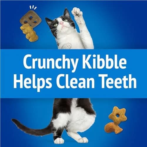 Purina Friskies Party Mix Beachside Crunch Cat Treats, 20 oz (567 g) | Seafood Flavors, Less Than 2 Calories Per Treat thumbnail 4
