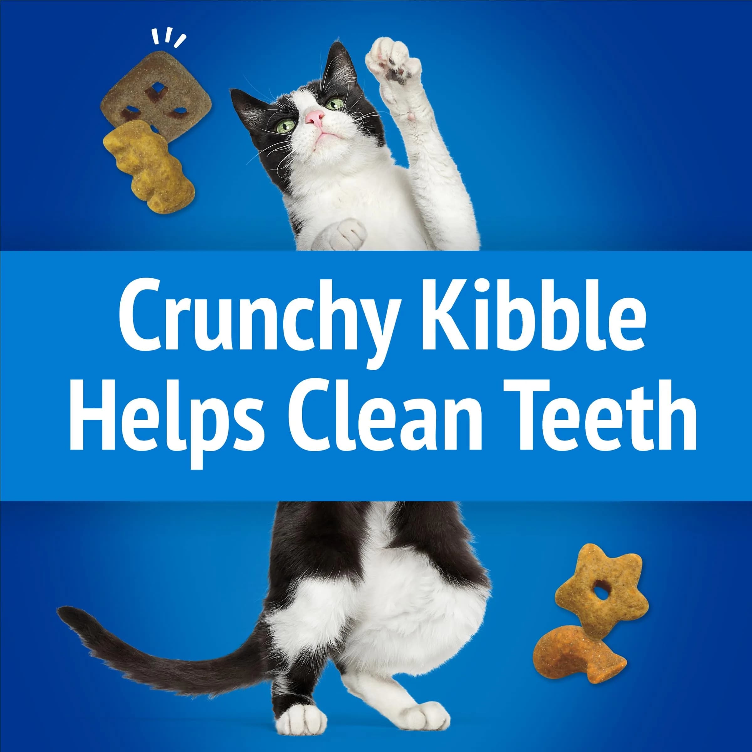 Friskies Party Mix Beachside Crunch Cat Treats - Ocean Whitefish, Shrimp, Crab, Tuna Flavors, 20 Ounce - view 4