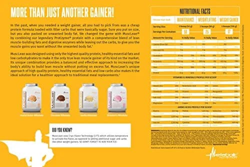 Metabolic Nutrition Musclean Peanut Butter Whey High Protein Meal Replacement Powder 2.48 kg (5 lb) | Physician Formulated for Lean Muscle & Keto Diets thumbnail 4