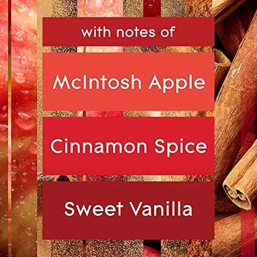Glade Automatic Spray Refill, Apple Cinnamon Scent, 2x6.2oz (12.4oz Total) | Timed Fragrance Release thumbnail 2
