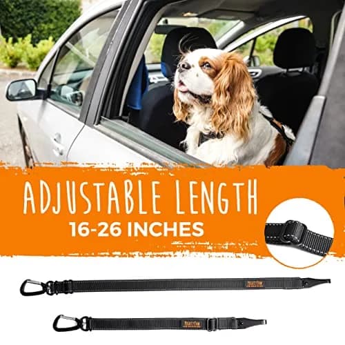 Mighty Paw Dog Seat Belt For Car - LATCH Compatible Adjustable Dog Seatbelt Harness for Small, Medium & Large Pets | Heavy-Duty Aviation Aluminum Carabiner thumbnail 7