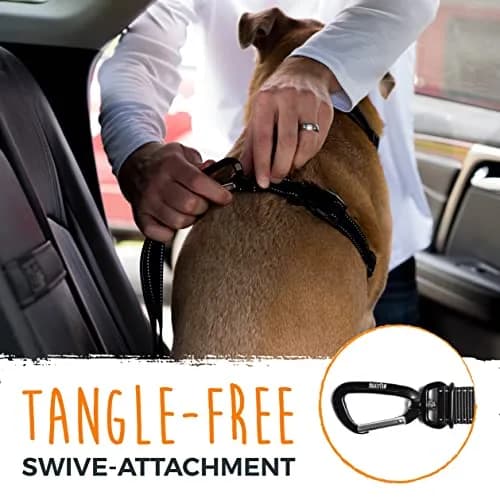 Mighty Paw Dog Seat Belt For Car - LATCH Compatible Adjustable Dog Seatbelt Harness for Small, Medium & Large Pets | Heavy-Duty Aviation Aluminum Carabiner thumbnail 8