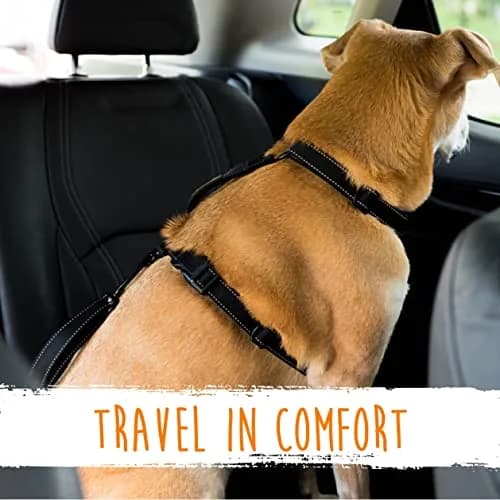Mighty Paw Dog Seat Belt For Car - LATCH Compatible Adjustable Dog Seatbelt Harness for Small, Medium & Large Pets | Heavy-Duty Aviation Aluminum Carabiner thumbnail 9