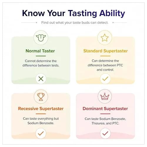 Bartovation Super Taster Test Kit, Classroom Lab, 100 Complete Experiments | Genetic Taste Sensitivity thumbnail 6