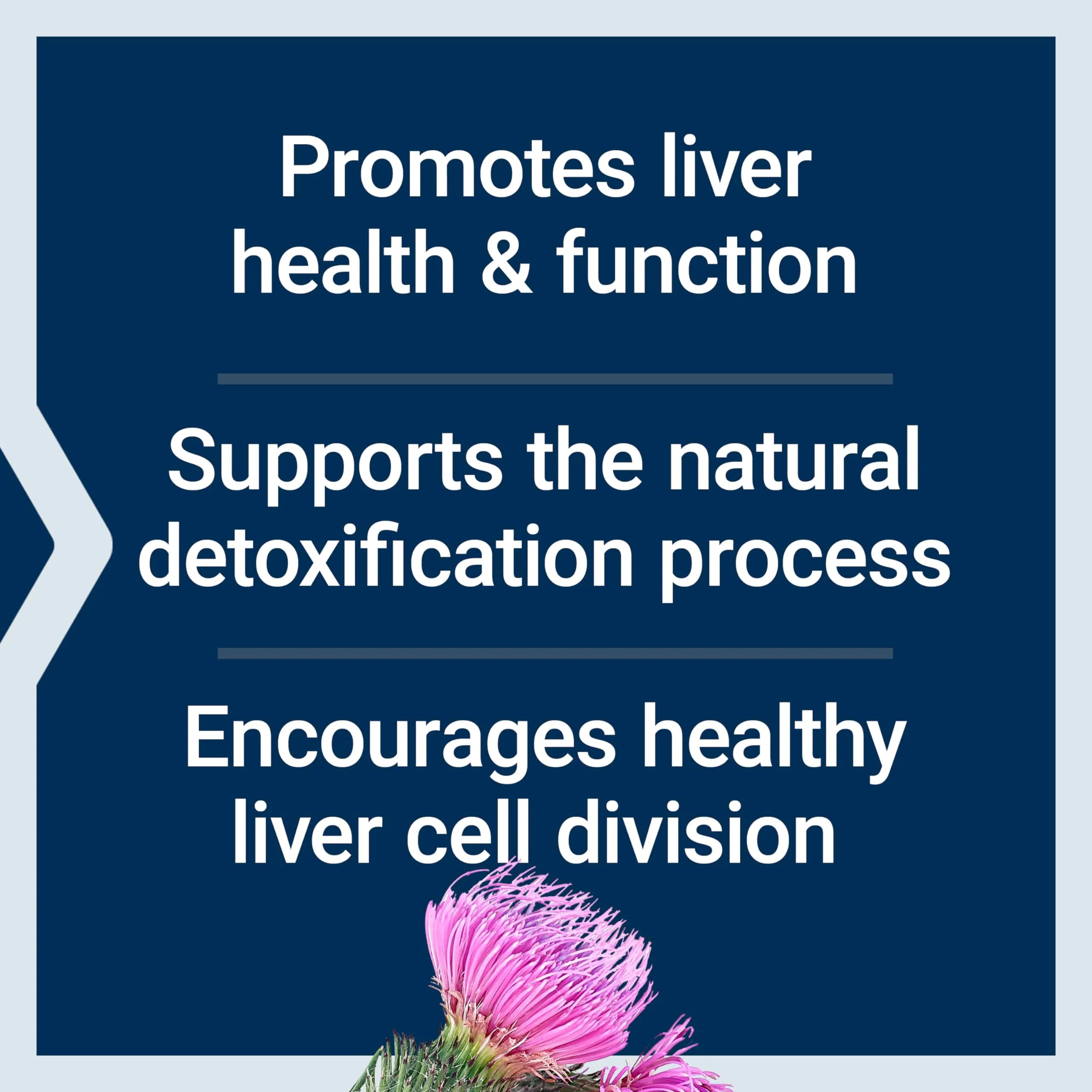 Life Extension Advanced Milk Thistle Softgels 60 Count (1.7 oz) | Bioavailable Silymarin & Silybin for Liver Health - view 4