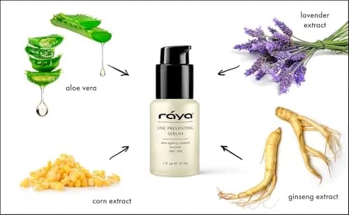 Raya Skin Serum 1 fl oz | Lightweight Anti-Aging Serum with Ginseng Extract thumbnail 2