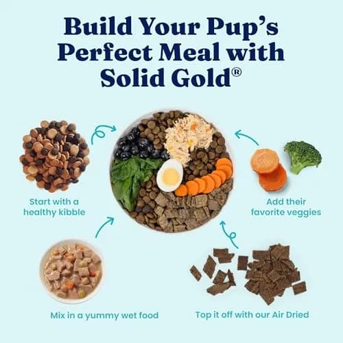 Solid Gold Small Breed Chicken Wet Dog Food Topper, 12ct | Grain-Free, Digestive Support, For Puppies & Adults thumbnail 7