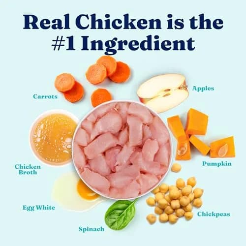 Solid Gold Small Breed Chicken Wet Dog Food Topper, 12ct | Grain-Free, Digestive Support, For Puppies & Adults thumbnail 3