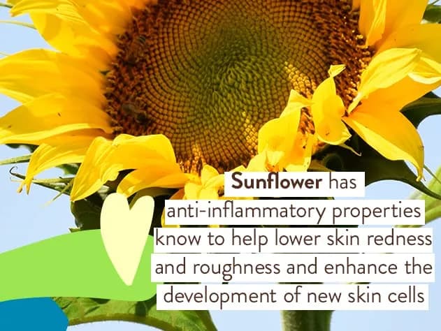 Babo Botanicals Natural Sunscreen Spray SPF30 for Sensitive Skin | Air-Powered Mineral Formula - view 2