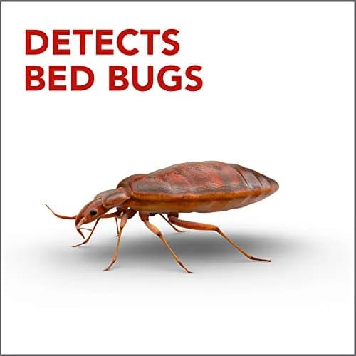 Raid Bed Bug Detector & Trap 8 Count | Early Detection & Monitoring for Home or Travel thumbnail 2