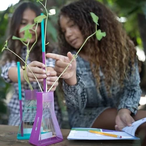 Educational Insights Nancy B's Science Club Way to Grow Hydroponics Kit 22.19 cm (8.8 in) | STEM Learning for Kids thumbnail 2