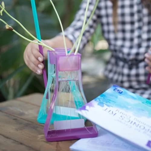 Educational Insights Nancy B's Science Club Way to Grow Hydroponics Kit 22.19 cm (8.8 in) | STEM Learning for Kids thumbnail 3