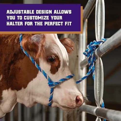 Weaver Livestock Braided Poly Rope Cattle Halter, Adjustable Cow Calf Halter, Livestock Handling Equipment for Showing, Dark Blue/Hurricane Blue/Gray | Durable, Adjustable & Comfortable thumbnail 4