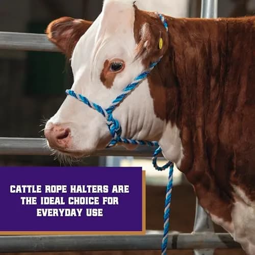 Weaver Livestock Braided Poly Rope Cattle Halter, Adjustable Cow Calf Halter, Livestock Handling Equipment for Showing, Dark Blue/Hurricane Blue/Gray | Durable, Adjustable & Comfortable thumbnail 2