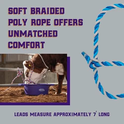 Weaver Livestock Braided Poly Rope Cattle Halter, Adjustable Cow Calf Halter, Livestock Handling Equipment for Showing, Dark Blue/Hurricane Blue/Gray | Durable, Adjustable & Comfortable thumbnail 3