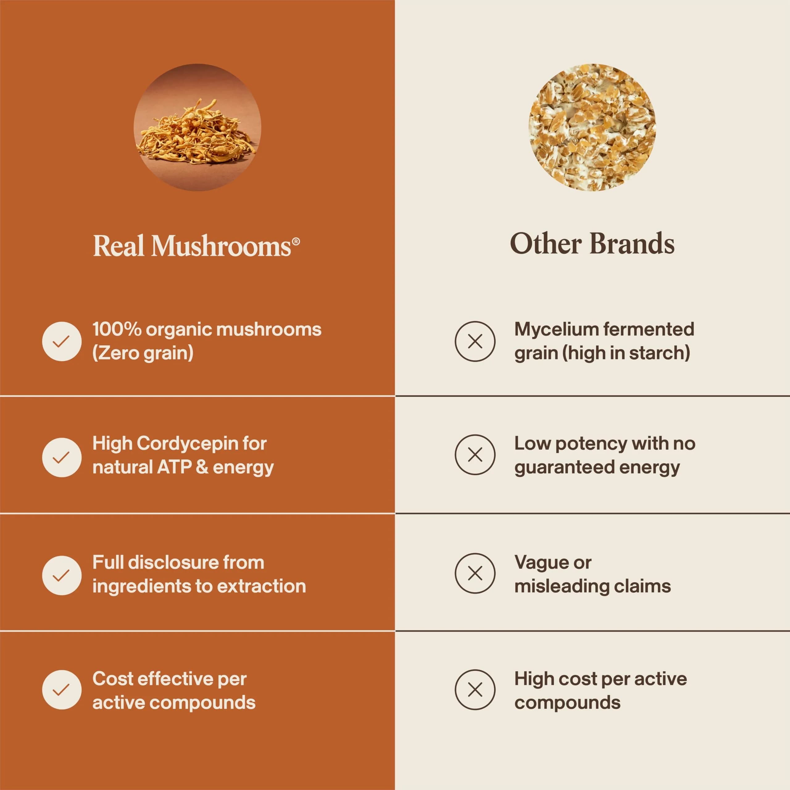 Real Mushrooms Cordyceps Mushroom Powder 60 Servings | Organic Energy & Wellness Support - view 6