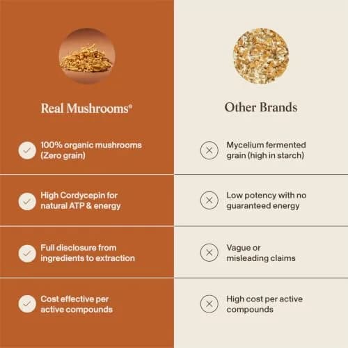 Real Mushrooms Cordyceps Mushroom Powder 60 Servings | Organic Energy & Wellness Support thumbnail 6