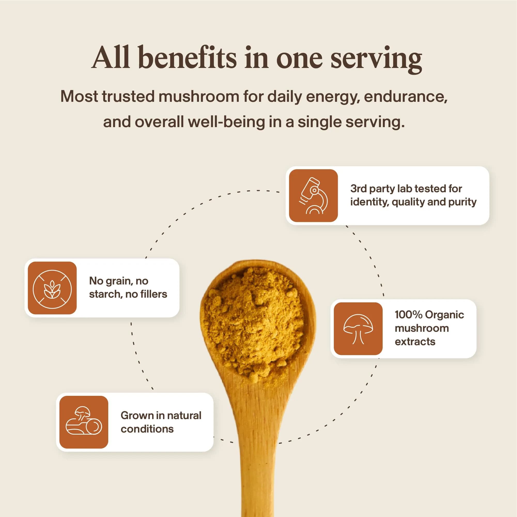 Real Mushrooms Cordyceps Mushroom Powder 60 Servings | Organic Energy & Wellness Support - view 7