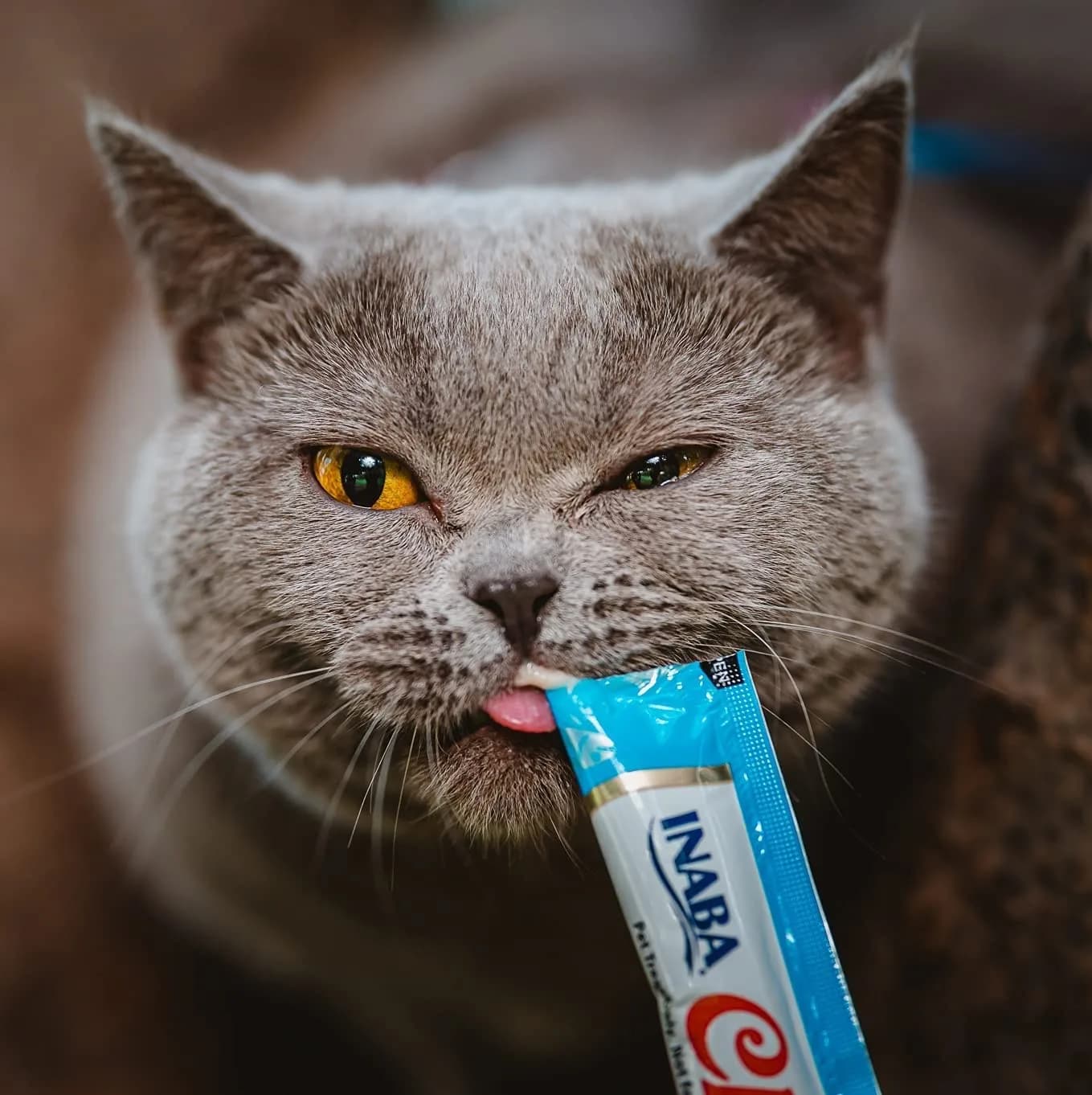 INABA Churu Lickable Creamy Purée Cat Treats 5 Flavor Variety Pack, 40 Tubes (20 oz / 567 g) - view 6