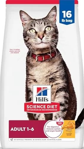 Hill's Science Diet Adult 1-6 Dry Cat Food, Chicken Flavor, 7.26 kg (16 lb) | Veterinarian Recommended thumbnail 1