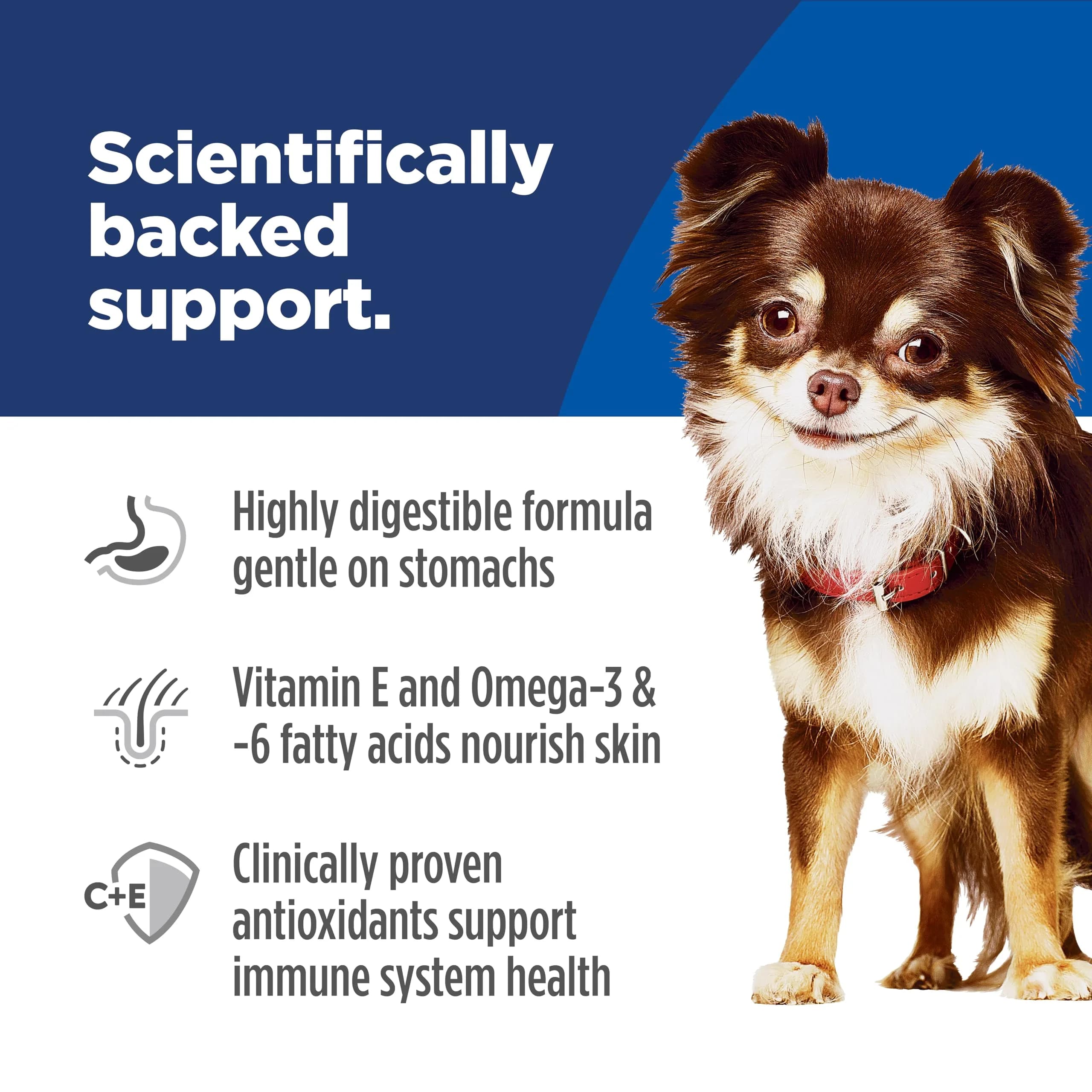 Hill's Science Diet Sensitive Stomach & Skin Small & Mini Dry Dog Food, 6.8 kg (15 lb) | Veterinarian Recommended for Digestive & Skin Health - view 3