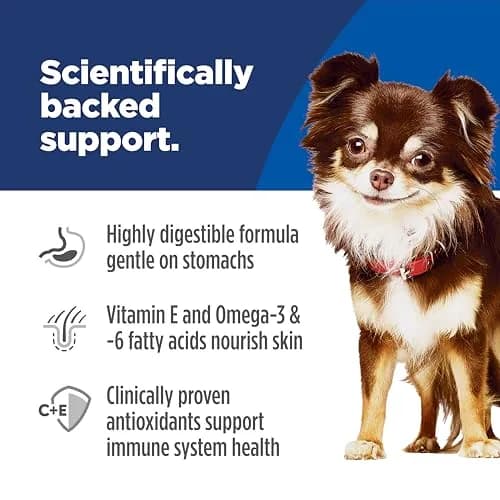 Hill's Science Diet Sensitive Stomach & Skin Small & Mini Dry Dog Food Chicken Recipe 1.81 kg (4 lb) | Vet-Recommended for Digestive & Skin Health thumbnail 3