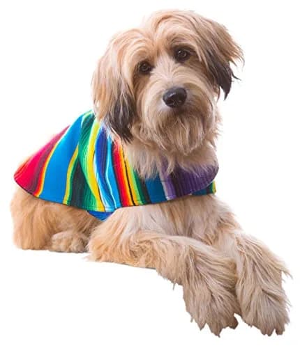 Baja Ponchos Handmade Dog Poncho Large | Unique Mexican Blanket Dog Coat (Blue, Large) thumbnail 1