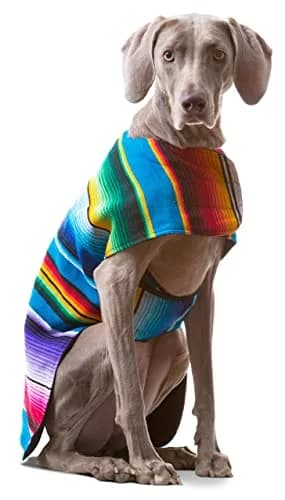 Baja Ponchos Handmade Dog Poncho Large | Unique Mexican Blanket Dog Coat (Blue, Large) thumbnail 4