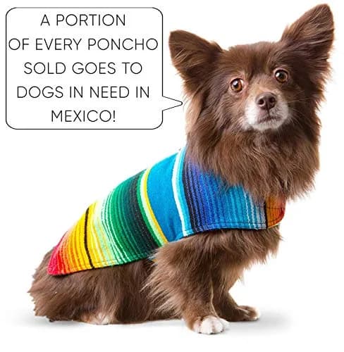 Baja Ponchos Handmade Dog Poncho Large | Unique Mexican Blanket Dog Coat (Blue, Large) thumbnail 2