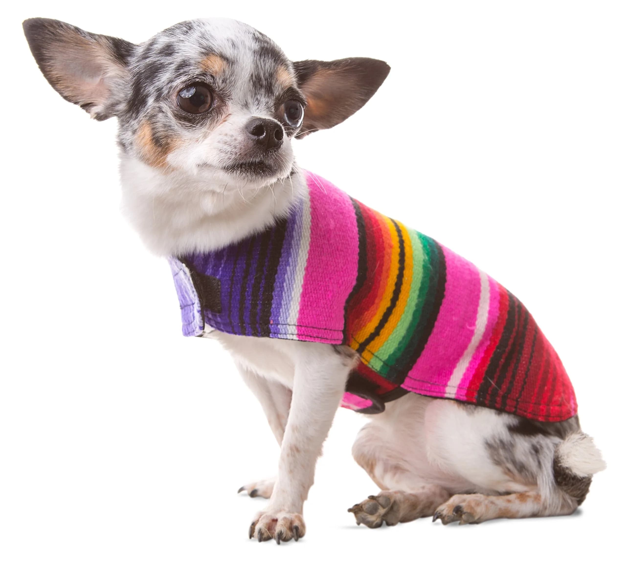 Baja Ponchos Handmade Dog Poncho XXS | Cinco De Mayo Chihuahua Costume from Authentic Mexican Blanket (Pink, XXS) — Pink