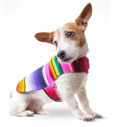 Baja Ponchos Handmade Dog Poncho XXS | Cinco De Mayo Chihuahua Costume from Authentic Mexican Blanket (Pink, XXS) thumbnail 4