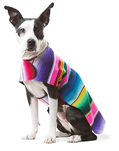 Baja Ponchos Handmade Dog Poncho XXS | Cinco De Mayo Chihuahua Costume from Authentic Mexican Blanket (Pink, XXS) thumbnail 6