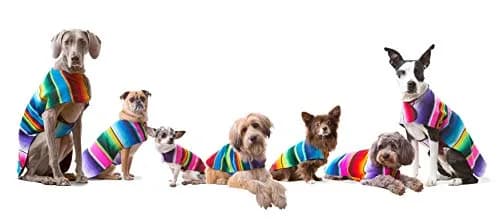 Baja Ponchos Handmade Dog Poncho XXS | Cinco De Mayo Chihuahua Costume from Authentic Mexican Blanket (Pink, XXS) thumbnail 7