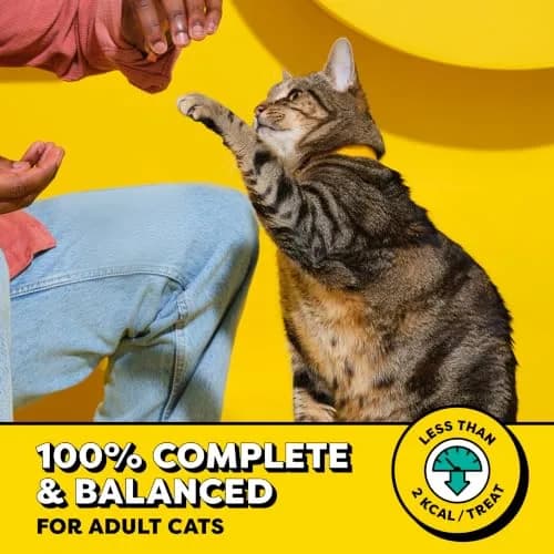 Temptations Classic Crunchy Cat Treats Blissful Catnip 6.3 oz (179 g) 10 Pack | Irresistible Dual-Texture for Adult Cats thumbnail 3