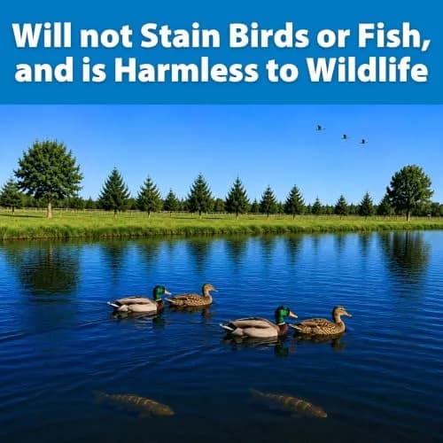 Monterey Qt Dark Blue Pond Dye | 1 Quart Treats 1 Acre Water 4-6 ft Deep, Fish & Bird Safe thumbnail 5