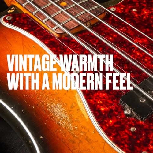 Jim Dunlop Stainless Steel Flatwound Bass Strings 45-105 | Vintage Warmth & Modern Playability thumbnail 2