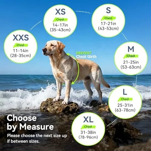 VIVAGLORY Dog Life Vest Rip Stop M Bright Yellow | Buoyant & Reflective for Water Safety thumbnail 6