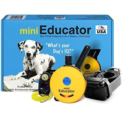 Educator ET-300 Mini E Collar for Dog Training with Remote 1/2 Mile Waterproof 100 Levels Night Light thumbnail 1