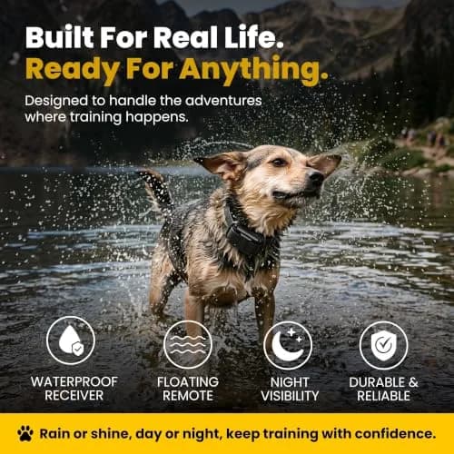 Educator ET-300 Mini E Collar for Dog Training with Remote 1/2 Mile Waterproof 100 Levels Night Light thumbnail 6