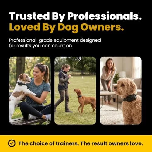 Educator ET-300 Mini E Collar for Dog Training with Remote 1/2 Mile Waterproof 100 Levels Night Light thumbnail 9