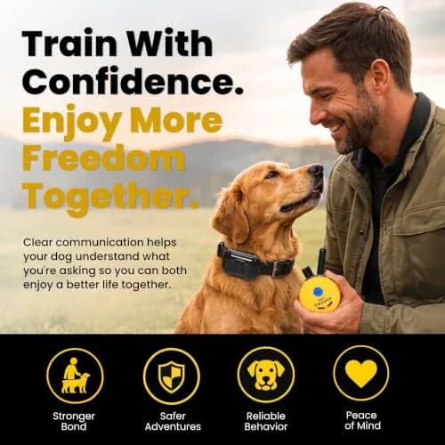 Educator ET-300 Mini E Collar for Dog Training with Remote 1/2 Mile Waterproof 100 Levels Night Light thumbnail 2